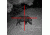 Sightmark Illuminated Photon XT Reticle
