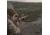 SightMark Pinnacle 3-18x44 TMD Rifle Scope, SM13030TMD