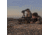 SightMark Pinnacle 3-18x44 TMD Rifle Scope, SM13030TMD