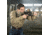Sightmark Ultra Shot M-Spec FMS Reflex Sight, Dark Earth, SM26035DE