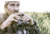 Sightmark Solitude 8x42 XD Binoculars SM12102