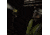 Streamlight Waypoint Rechargeable Flashlight - 120V AC, Yellow, 44910