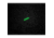 TEC Accessories Embrite Glow Pellet