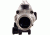 Trijicon ACOG 3.5x35 Nickel Boron Dual Illum. Red Crosshair .223 Ballistic Reticle w/ TA51 Mount TA11-D-100204