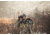 Vanguard Endeavor ED II 8x42 mm Binoculars, Black Endeavor ED II 8420