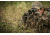 Vanguard Endeavor ED IV 8x42 mm Binocular, Black, Endeavor ED IV 8420