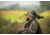 Vanguard Endeavor HD 65A 15-45x65mm Spotting Scope, Angled, Black, Vanguard Endeavor HD 65A