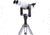 Vixen BT80M-A Astronomical Binocular with Interchangeable Eyepieces, Fork Mount, Swing Bracket and Tripod 1431P2
