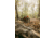 Vortex Crossfire HD 3-9x40 mm 1 in Tube Rifle Scope, Second Focal Plane, Dead-Hold BDC MOA, Black, 12.5, 16.2oz, CFR-3901