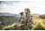 Vortex Diamondback HD 15x56mm Binocular, Roof, Rubber, Green, DB-218