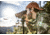 Vortex Diamondback HD 15x56mm Binocular, Roof, Rubber, Green, DB-218