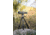 Vortex Razor HD 13-39x56 Spotting Scope, Straight, Green, RS-56S
