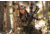 Vortex Razor HD 8x42 Binoculars, RZB-2101
