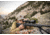 Vortex Razor HD LHT 4.5-22x50 mm Rifle Scope, 30 mm Tube, First Focal Plane, Black, Anodized, Red XLR-2 MOA Reticle, MOA Adjustment, RZR-42201