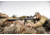 Vortex Razor HD LHT 4.5-22x50 mm Rifle Scope, 30 mm Tube, First Focal Plane, Black, Anodized, Red XLR-2 MOA Reticle, MOA Adjustment, RZR-42201