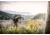 Vortex Ridgeview Carbon Tripod Kit, Black, 5x5x30, TR-RVC