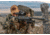 Vortex Viper HD 3-15x44 Rifle Scope, 30mm Tube, Second Focal Plane, VMR-3 MRAD Reticle, Black, VPR-31503