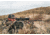 Vortex Viper HD 5-25x50 Rifle Scope, 30mm Tube, First Focal Plane, VMR-4 MOA Reticle, Black, VPR-52501
