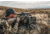 Vortex Viper HD 5-25x50 Rifle Scope, 30mm Tube, First Focal Plane, VMR-4 MOA Reticle, Black, VPR-52501