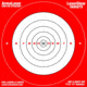 ArmaLaser Bullseye Target, 12in, TT-01
