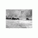 Armasight Command/Pro 336 3-12x42, 30Hz Thermal Imaging Bi-Ocular, FLIR Tau 2 - 336x256 30Hz Core 17 micron, 42mm Lens TAT173BN4HELI31