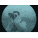 Armasight Nemesis 6X Ghost Night Vision Rifle Scope Gen 3 Ghost White Phosphor