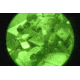 Armasight Sirius Gen 2+ Night Vision Monocular, Standard Def NSMSIRIUS12GDS1