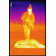 ATN Mini-Thor 320-2x Thermal Imaging Weapon Sight TIWSMT322C