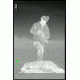 ATN Mini-Thor 320-2x Thermal Imaging Weapon Sight TIWSMT322C