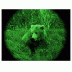 ATN Night Trek Nightvision Monocular, 3x NVMNNTR310