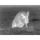 DEMO ATN Thor 320 3x Enhanced Thermal Imaging Weapon Sight TIWSMT323D-DEMO