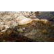 Barska 10x42 WP Blackhawk, Bak-4, Green Lens, Mossy Oak Break-Up, Black AB11850