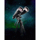 Barska 25-125x80 Gladiator Zoom Porro BaK-4 Prism Binoculars, Black AB10594