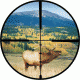 Burris Ballistic Plex Reticle