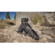 Bushnell 1X25mm RXS-250 Reflex Sight FMC, Weaver/Picatinny, Red, Unlimited, Black, RXS250