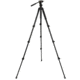 Celestron Regal Premium Adjustable Aluminum Tripod, Black 82052