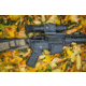 DNT Optics Zulus HD 5-20x V2 Digital Night Vision Riflescope w/ Laser Rangefinder
