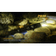 Fenix PD Series 960 Lumens Flashlight, Black PD35XLBK