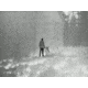 FLIR Systems Scout Pro Thermal Monocular, 30Hz, 640x480 px, Black, Medium, 15001-0101