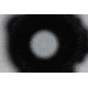 Holosun Military Grade Micro, Black, Small, HS515GM