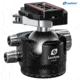 Leofoto LM-364C X Version Tripod w/ 75mm Bowl/Platform w/ LH Ballhead Set, Black, LM-364CX+LH-55LR
