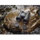 Nikon M5 12 x 42 Roof Prism Binoculars, Black, 16769