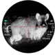 PARD TS3645LRF 640 THERMAL RIFLE SCOPE W/LRF
