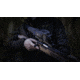 Pulsar Trail 2 LRF XQ50 Thermal Rifle Scope, 640 x 480, 50 fps, Black, PL76558