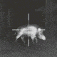 Pulsar PL76507Q TRAIL XP38 THERML SCP