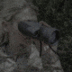 Pulsar Twilight DNV 7x50 Digital, Green Night Vision Monocular SM18014