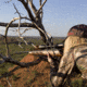 SightMark Core HX 3-9x40VHR Venison Hunter Rifle Scope, 450 Bushmaster Reticle, Black, SM13068VHR-450BM
