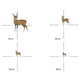 SightMark Core HX 6-24x50AOVHR Venison Hunter Rifle Scope SM13070VHR