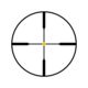 Trijicon AccuPoint TR-22 2.5-10x56mm Rifle Scope, 30 mm Tube, Second Focal Plane, Black, Amber Standard Duplex Crosshair w/ Dot Reticle, MOA Adjustment, 200023