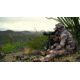 Vanguard Endeavor HD 82A Spotting Scope, 20-60x82mm, BAK-4, Black, Vanguard Endeavor HD 82A